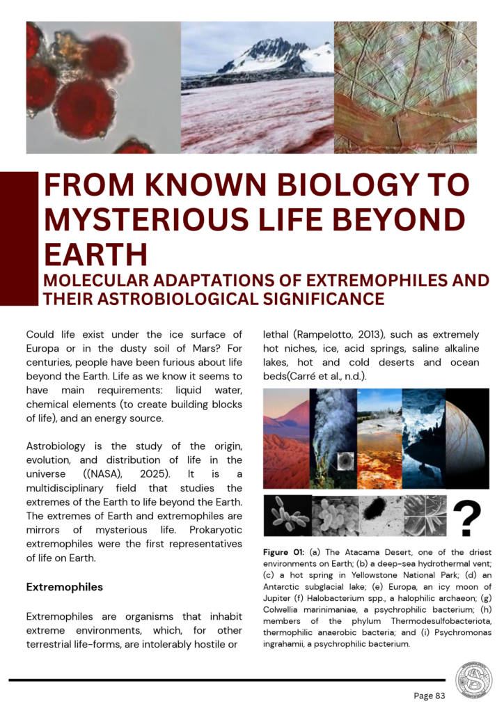 Copy of Sigma 2026 - Mother Document (5)